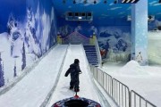 宁乡炭河冰雪王国门票价格_宁乡炭河冰雪王国有什么好玩的