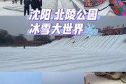 冰雪盛京值得去吗_沈阳冬天必玩景点