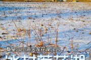 冰雪莲塘在哪里_冰雪莲塘最佳旅游时间