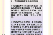 两岁宝宝去高原注意事项_高原反应怎么办