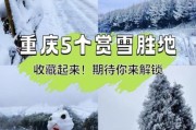 冰雪重庆哪里好玩_重庆看雪最佳时间