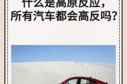 汽车高原反应怎么办_高原动力不足怎么解决