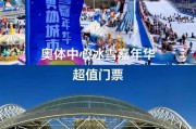 大同冰雪嘉年华门票价格_有什么好玩的