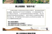 黄土高原位于哪里_黄土高原形成原因