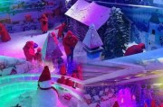 龙华冰雪天地门票价格_龙华冰雪天地开放时间