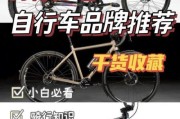 户外自行车品牌排行_哪个牌子好
