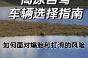 高原开什么车好_高原自驾选车攻略