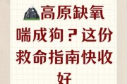 高原反应气短怎样缓解_高原气短急救方法