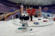南京冰雪世界门票价格_南京冰雪世界开放时间