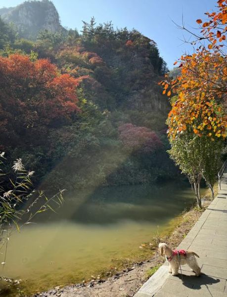 淄博户外旅行去哪玩_淄博徒步路线推荐