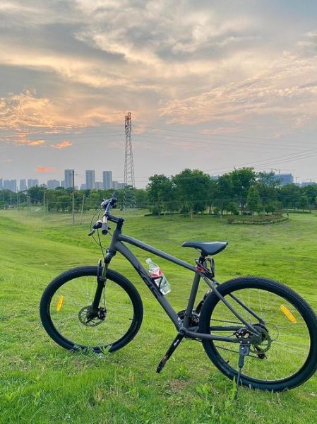 户外自行车品牌排行榜_哪个牌子好