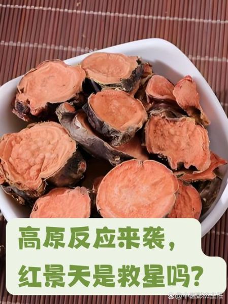 红景天高原安哪个好_高原反应吃多久见效