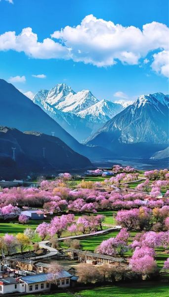 林芝旅游最佳时间_林芝海拔多少米