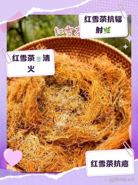 亚东高原红_青海哪里能看到最正宗的高原红