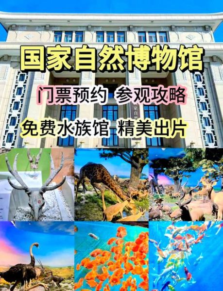 北京自然博物馆门票价格_开放时间