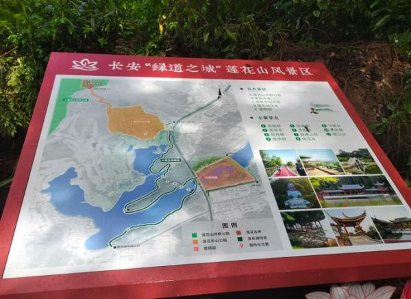 东莞长安户外去哪玩_长安徒步路线推荐