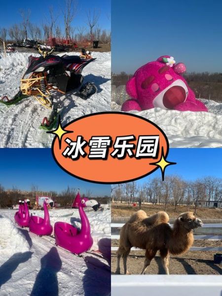 瑞翔冰雪世界门票多少钱_瑞翔冰雪世界一日游路线