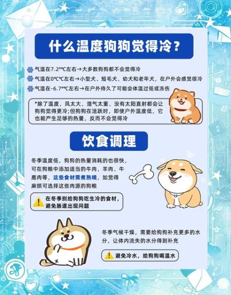 哈士奇冰雪天气怎么养_雪地遛狗注意事项