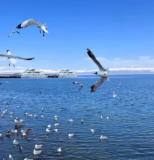 青海高原反应_去青海会不会高反