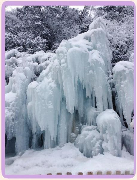 金佛山冰雪节门票价格_金佛山冰雪节好玩吗