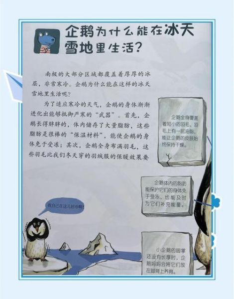 冰雪企鹅怎么养_冰雪企鹅适合什么环境