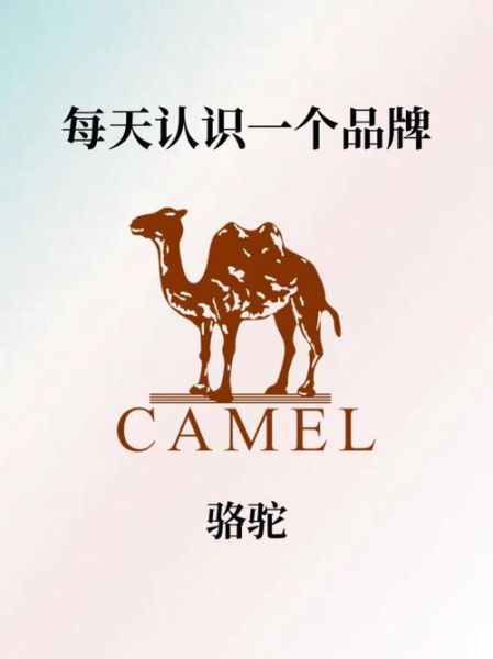 户外骆驼logo含义是什么_如何辨别真假骆驼户外