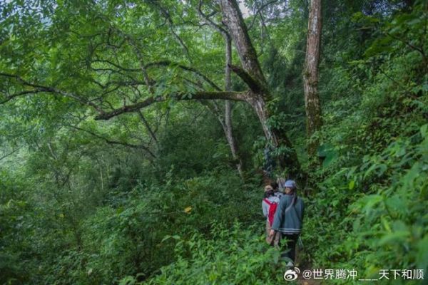 云南腾冲有高原反应吗_腾冲海拔多少米