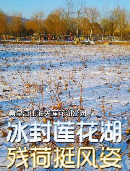 冰雪莲塘在哪里_冰雪莲塘最佳旅游时间
