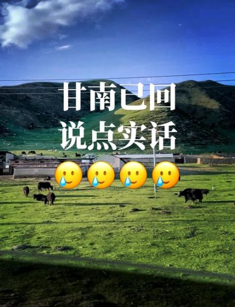 甘南会有高原反应吗_去甘南如何预防高反