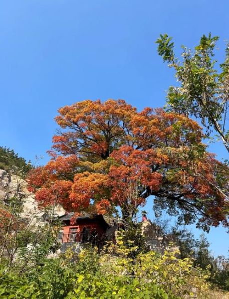 沂源户外旅行路线_沂源徒步哪里好玩