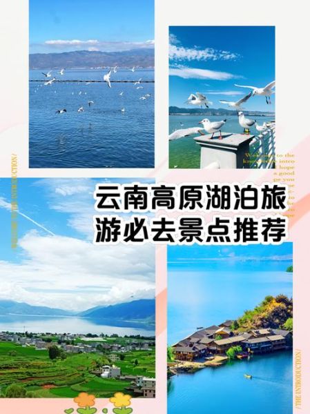 高原滨湖有哪些_高原滨湖旅游注意事项