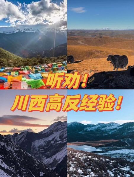 海拔多少米开始高原反应_高原反应症状有哪些