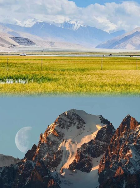 高原春天什么时候来_高原春天有哪些独特景观