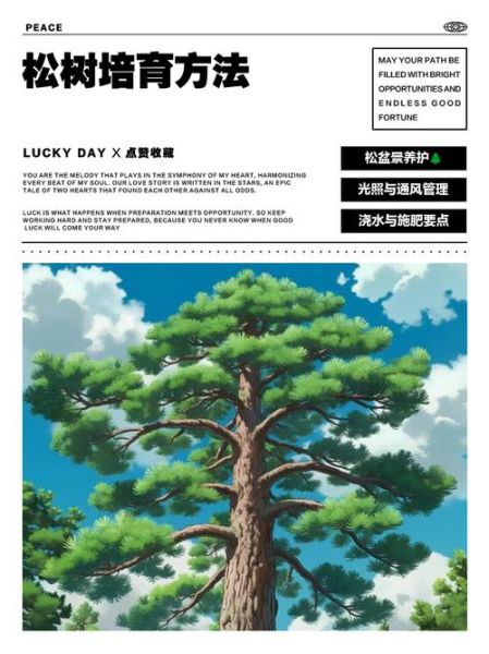 高原松树上适合种什么_高原松树怎么养护