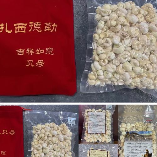 哮喘可以去高原吗_去高原要准备什么药