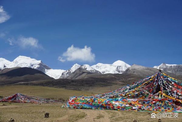 西藏高原多高_平均海拔多少米