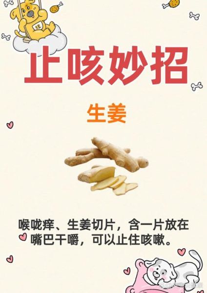 高原咳嗽怎么办_高原反应咳不停