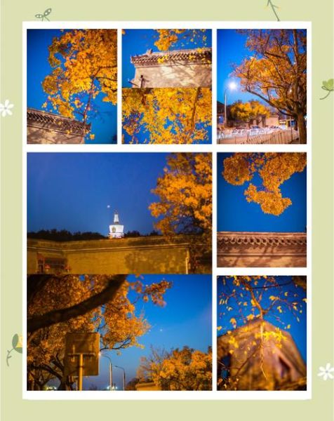 北京深秋的晚上穿什么_北京晚上去哪里赏秋