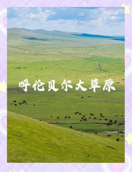 呼伦贝尔高原海拔是多少_呼伦贝尔高原海拔有多高