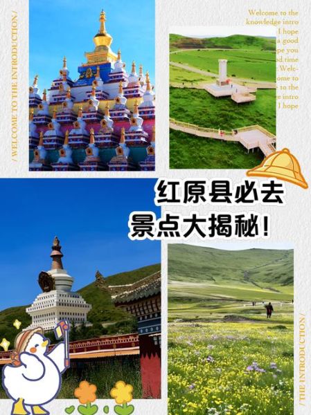 红原会有高原反应吗_红原海拔多少米