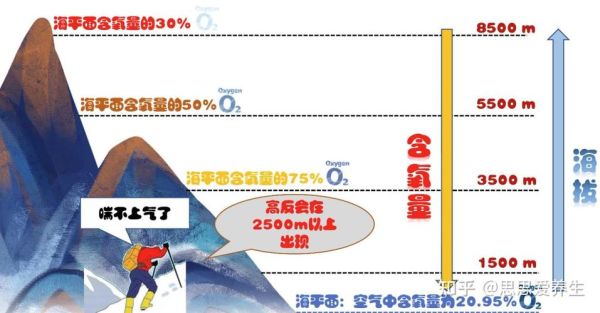 高原反应腿疼怎么办_高反腿疼多久能好