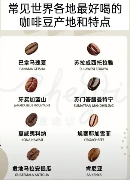 高原咖啡好喝吗_高原咖啡产地在哪里