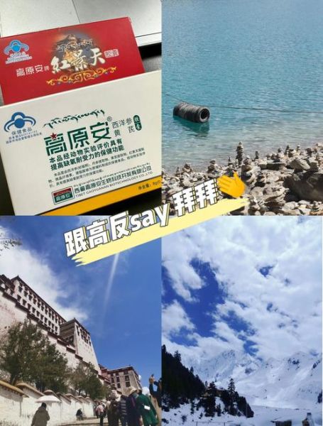 高原安多少钱一盒_高原安价格查询