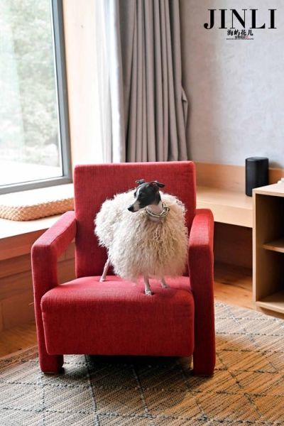 冰雪仙居在哪里_冰雪仙居住宿多少钱