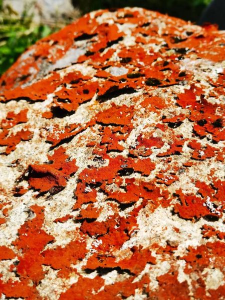 高原痉挛是什么症状_如何预防高原痉挛