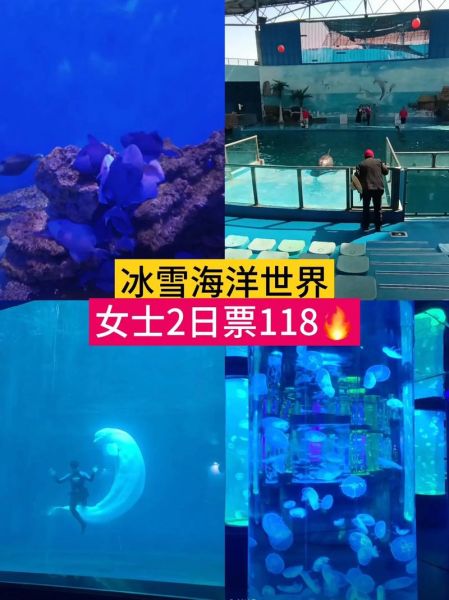 昆明石林冰雪世界门票价格_昆明石林冰雪世界好玩吗