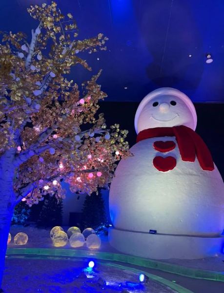 冰雪旅游去哪里好_冰雪旅游必备物品清单