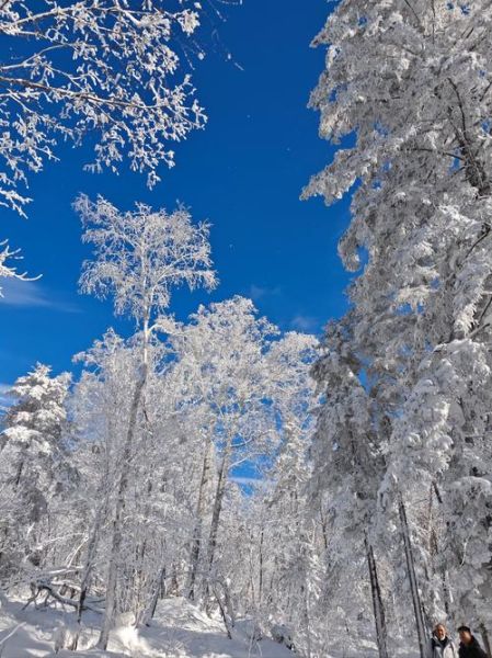 冰雪的景色怎么拍_冬天看雪去哪里最美