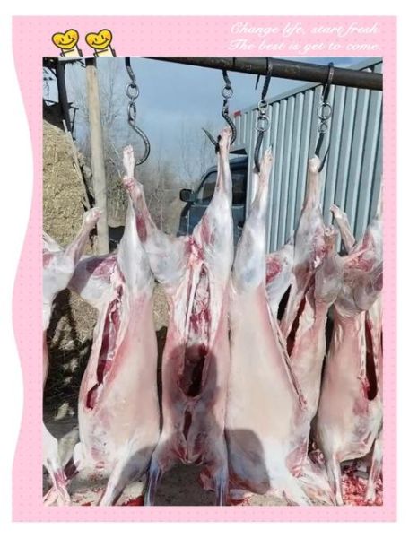 高原山羊肉多少钱一斤_高原山羊肉怎么做好吃