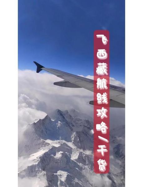 坐飞机去拉萨会不会高反_高原反应怎么办